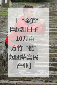 “金笋”撑起甜日子 10万亩方竹“链”起团结富民产业