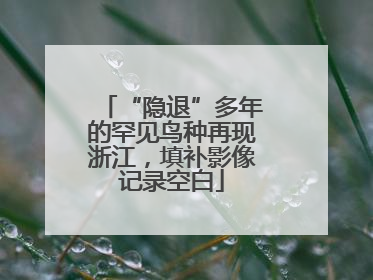 “隐退”多年的罕见鸟种再现浙江，填补影像记录空白