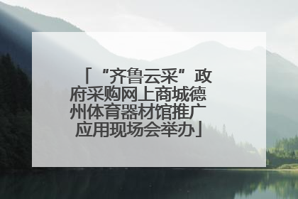 “齐鲁云采”政府采购网上商城德州体育器材馆推广应用现场会举办