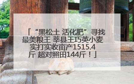 “黑松土 活化肥”寻找最美粮王 莘县王巧英小麦实打实收亩产1515.4斤 超对照田144斤！