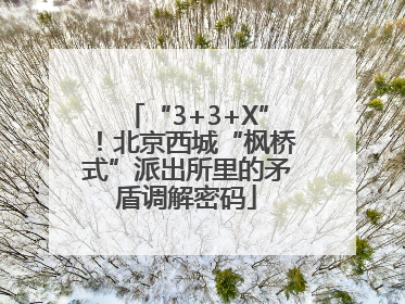 “3+3+X”！北京西城“枫桥式”派出所里的矛盾调解密码