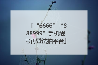 “6666”“888999”手机靓号再登法拍平台
