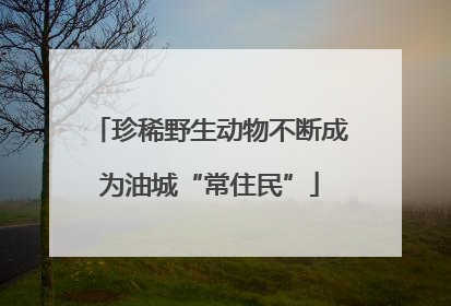 珍稀野生动物不断成为油城“常住民”