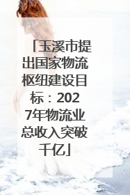 玉溪市提出国家物流枢纽建设目标：2027年物流业总收入突破千亿