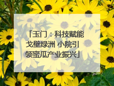 玉门：科技赋能戈壁绿洲 小院引领蜜瓜产业振兴