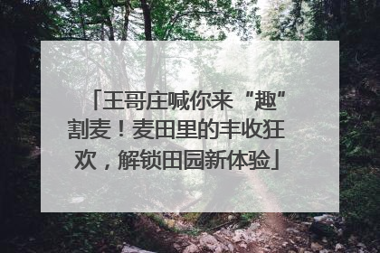王哥庄喊你来“趣”割麦！麦田里的丰收狂欢，解锁田园新体验