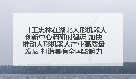 王忠林在湖北人形机器人创新中心调研时强调 加快推动人形机器人产业高质量发展 打造具有全国影响力的研发创新基地