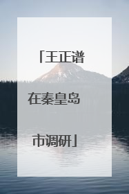 王正谱在秦皇岛市调研