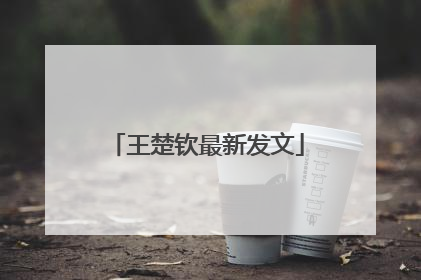 王楚钦最新发文