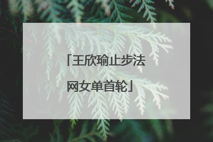 王欣瑜止步法网女单首轮