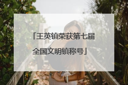 王英镇荣获第七届全国文明镇称号