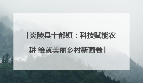 炎陵县十都镇：科技赋能农耕 绘就美丽乡村新画卷