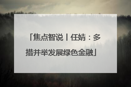 焦点智说丨任婧：多措并举发展绿色金融