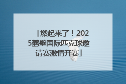 燃起来了！2025鹤壁国际匹克球邀请赛激情开赛