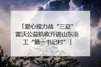 爱心接力战“三夏” 雷沃公益机收开进山东重工“第一书记村”