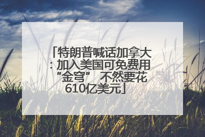 特朗普喊话加拿大：加入美国可免费用“金穹” 不然要花610亿美元