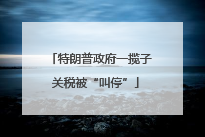 特朗普政府一揽子关税被“叫停”