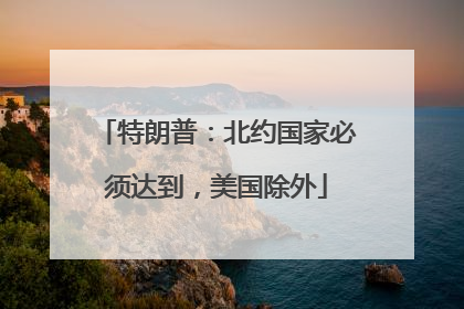 特朗普：北约国家必须达到，美国除外