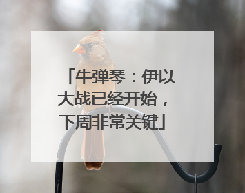 牛弹琴：伊以大战已经开始，下周非常关键