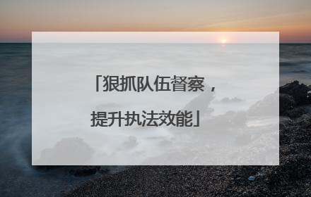 狠抓队伍督察，提升执法效能