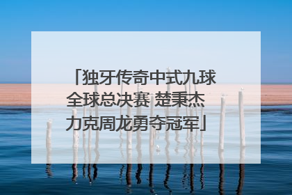 独牙传奇中式九球全球总决赛 楚秉杰力克周龙勇夺冠军