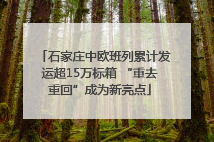 石家庄中欧班列累计发运超15万标箱 “重去重回”成为新亮点