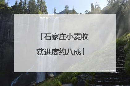 石家庄小麦收获进度约八成