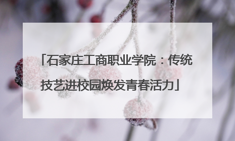 石家庄工商职业学院：传统技艺进校园焕发青春活力