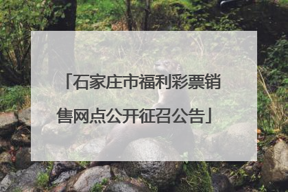 石家庄市福利彩票销售网点公开征召公告