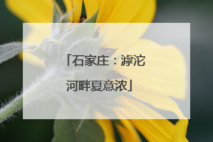 石家庄：滹沱河畔夏意浓
