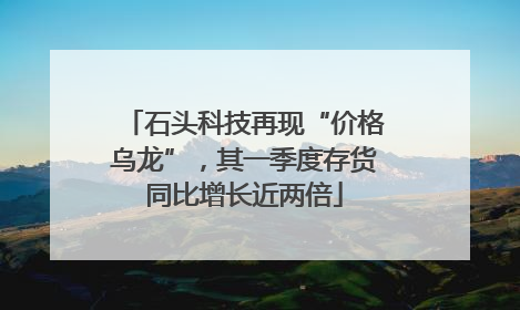 石头科技再现“价格乌龙”，其一季度存货同比增长近两倍