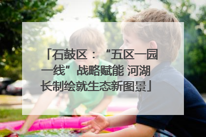 石鼓区：“五区一园一线”战略赋能 河湖长制绘就生态新图景