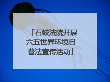 石鼓法院开展六五世界环境日普法宣传活动