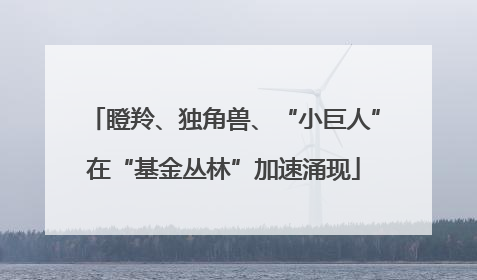 瞪羚、独角兽、“小巨人”在“基金丛林”加速涌现