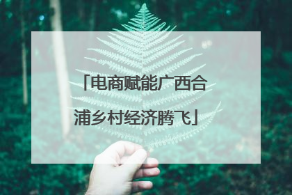 电商赋能广西合浦乡村经济腾飞