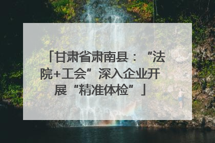 甘肃省肃南县：“法院+工会”深入企业开展“精准体检”