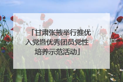 甘肃张掖举行推优入党暨优秀团员党性培养示范活动