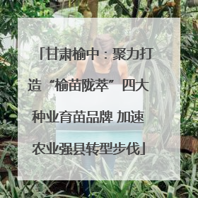 甘肃榆中：聚力打造“榆苗陇萃”四大种业育苗品牌 加速农业强县转型步伐