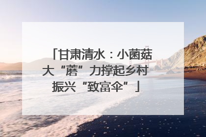 甘肃清水：小菌菇大“蘑”力撑起乡村振兴“致富伞”