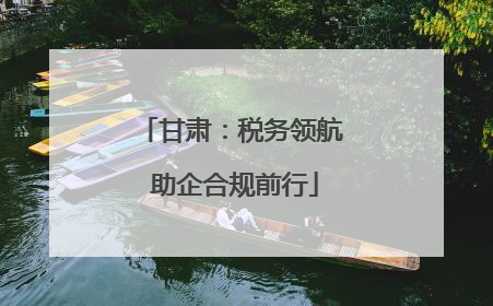 甘肃：税务领航 助企合规前行