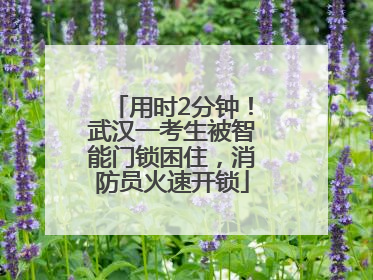 用时2分钟！武汉一考生被智能门锁困住，消防员火速开锁