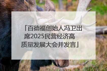 百德福创始人冯卫出席2025民营经济高质量发展大会并发言