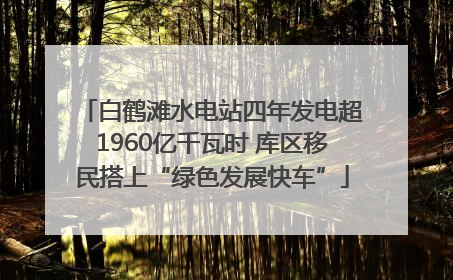 白鹤滩水电站四年发电超1960亿千瓦时 库区移民搭上“绿色发展快车”