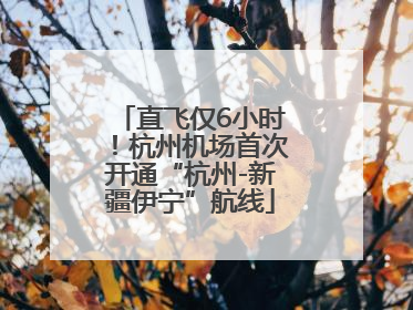 直飞仅6小时！杭州机场首次开通“杭州-新疆伊宁”航线