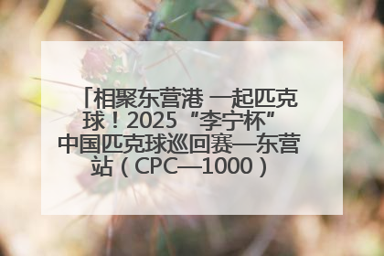 相聚东营港 一起匹克球！2025“李宁杯”中国匹克球巡回赛—东营站（CPC—1000）暨“好运山东”黄河口匹克球公开赛落幕