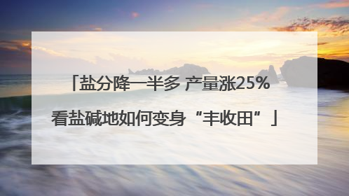盐分降一半多 产量涨25% 看盐碱地如何变身“丰收田”