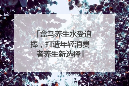 盒马养生水受追捧，打造年轻消费者养生新选择