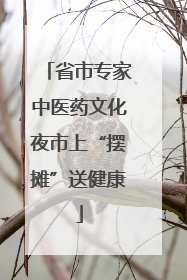 省市专家中医药文化夜市上“摆摊”送健康