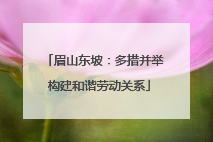 眉山东坡：多措并举构建和谐劳动关系