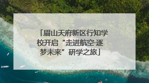 眉山天府新区行知学校开启“走进航空·逐梦未来”研学之旅